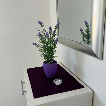 Roje Apartment *